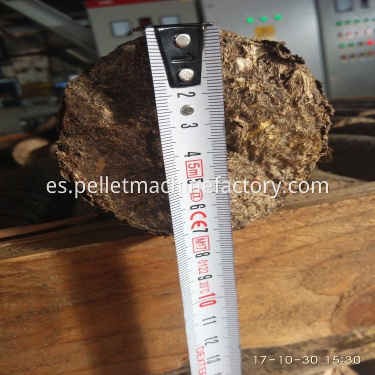 Máquina de pellets de madera de 20 mm de diámetro